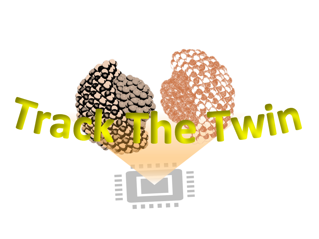 Track the Twin Logo